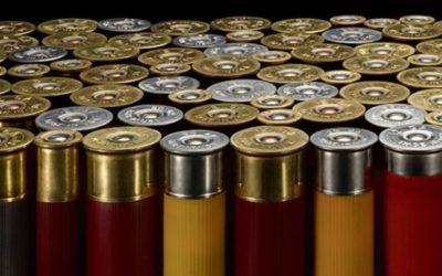 العبارات الفارغة